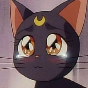 Meet your Posher, Annie